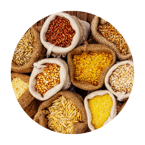 Cereales (Cebada, Trigo, Cilantro y Yeros)